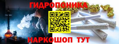 apvp Кунгур
