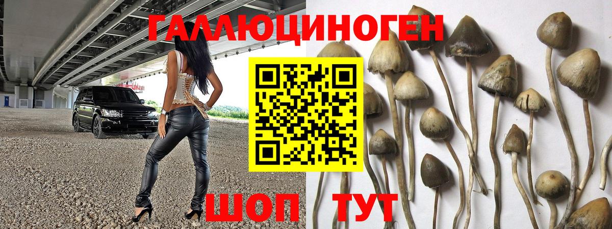 Углич  Галлюциногенные грибы ЛСД  Псилоцибиновые грибы MAGIC MUSHROOMS  Вход с VPN 
